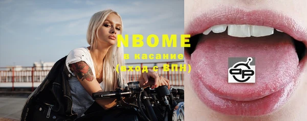 стаф Снежногорск